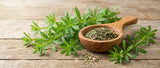 Supports Natural Lymphatic Drainage