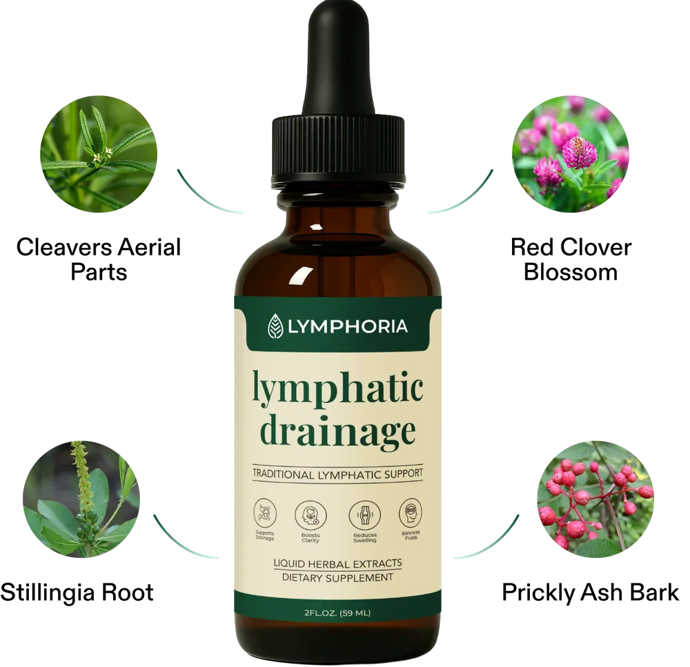 Made with Clean, Plant-Based Ingredients
